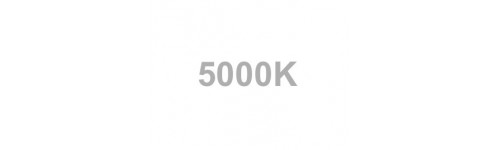    5000K