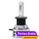 Philips LED H1 Ultinon Essential LED  ( 2 Bulbs )