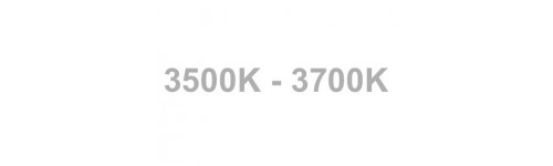    3500K - 3700K