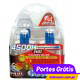 LAMPA  H4  4.500K  Blue Xenon  ( 2 Bulbs) )
