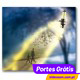 NARVA Contrast+  H1  ( 2 Bulbs )