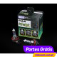 PIAA Night Tech H11 12v 55w ( 2 Bulbs )